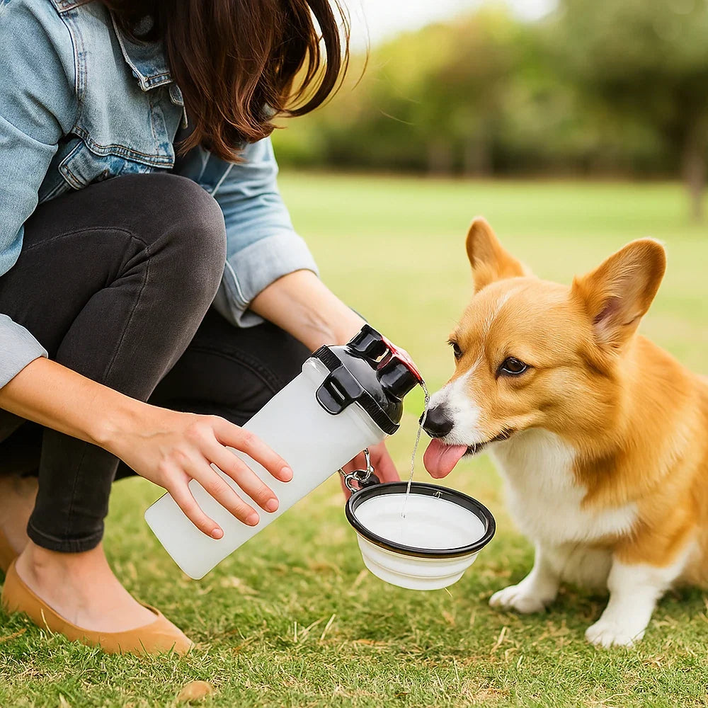 2-in-1 dog travel water bottle with collapsible bowls