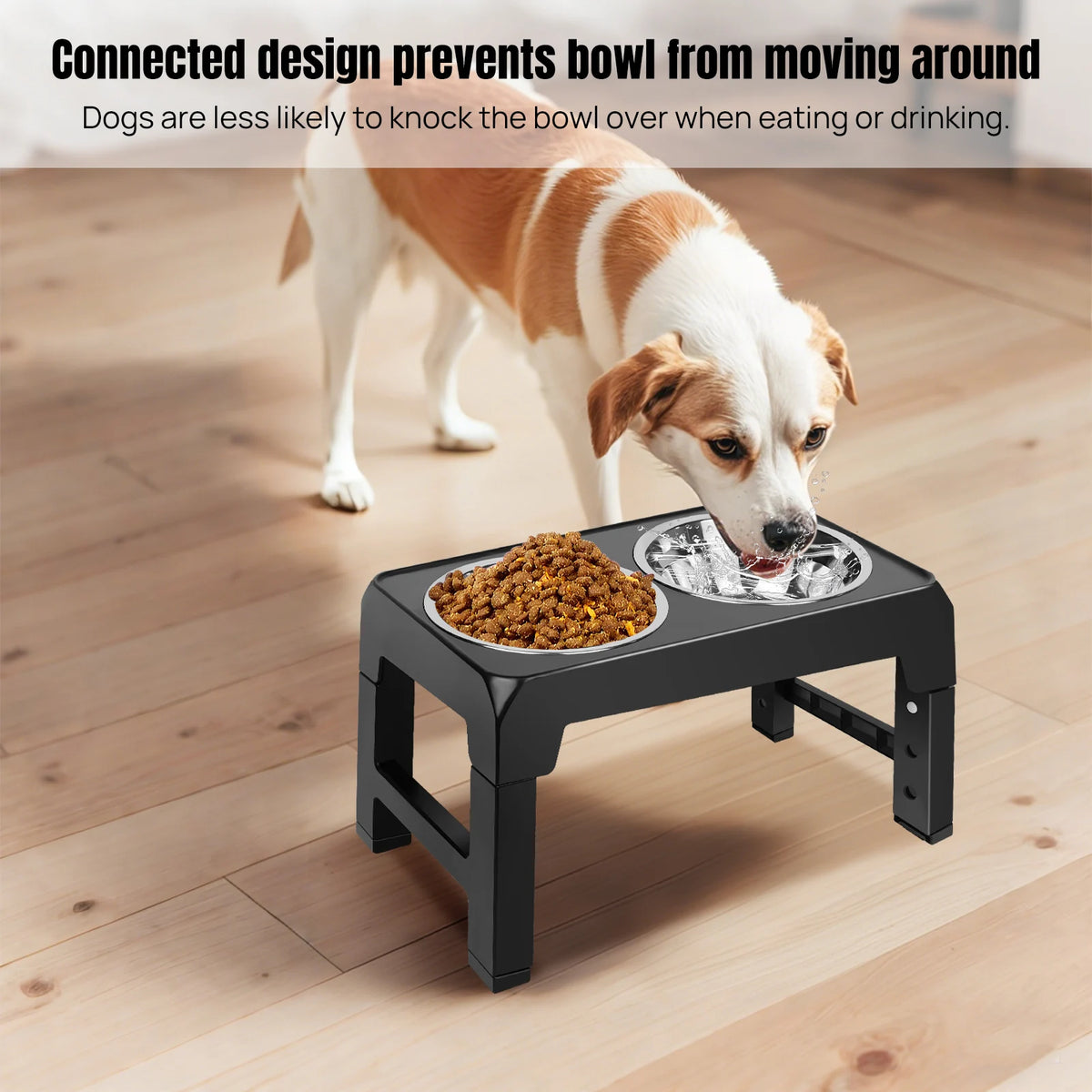 Dog eating from a raised bowl stand with stainless steel bowls on a wooden floor
