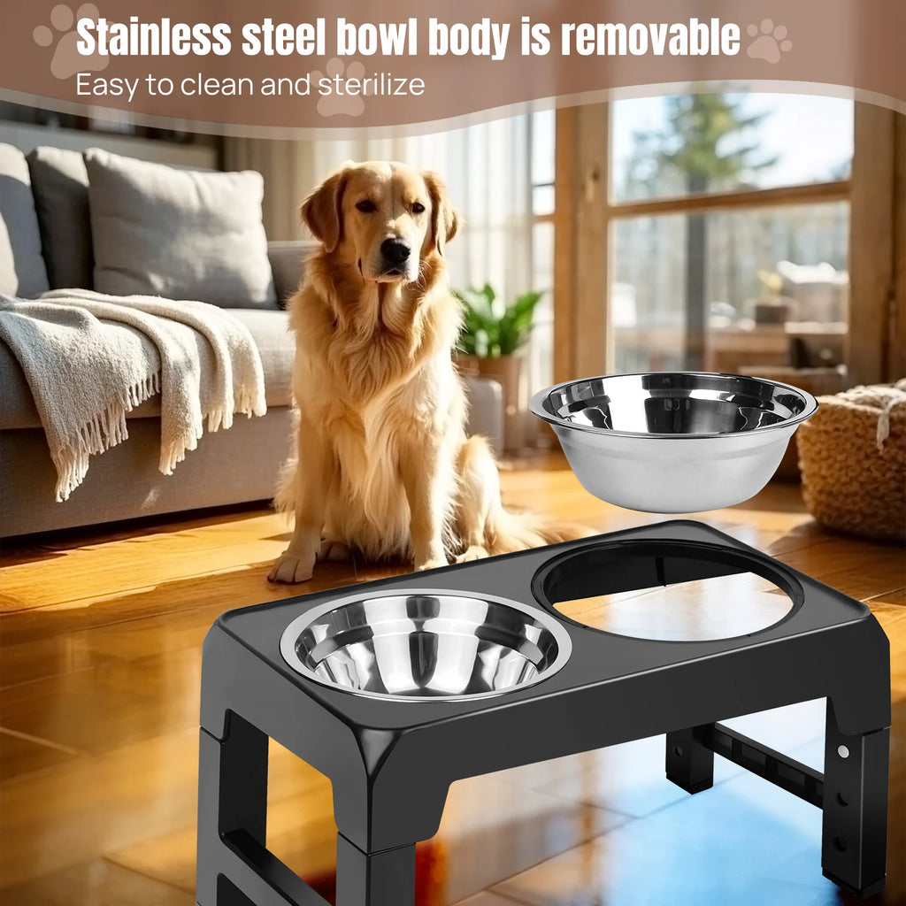 Golden retriever beside a raised dog bowl stand with a removable stainless steel bowl
