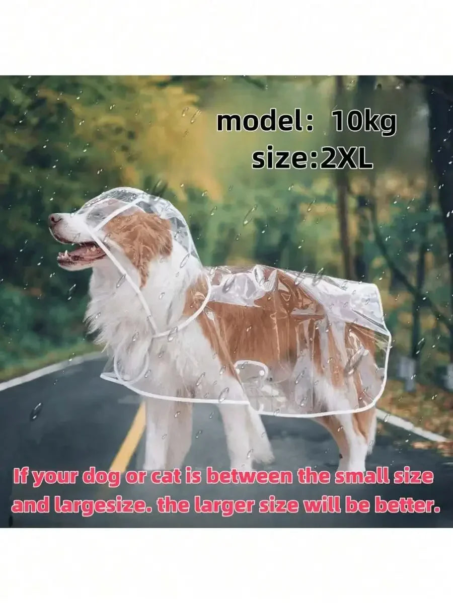 Transparent Hooded Dog Raincoat – image 4