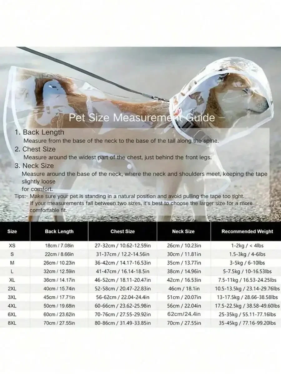 Transparent Hooded Dog Raincoat – image 5