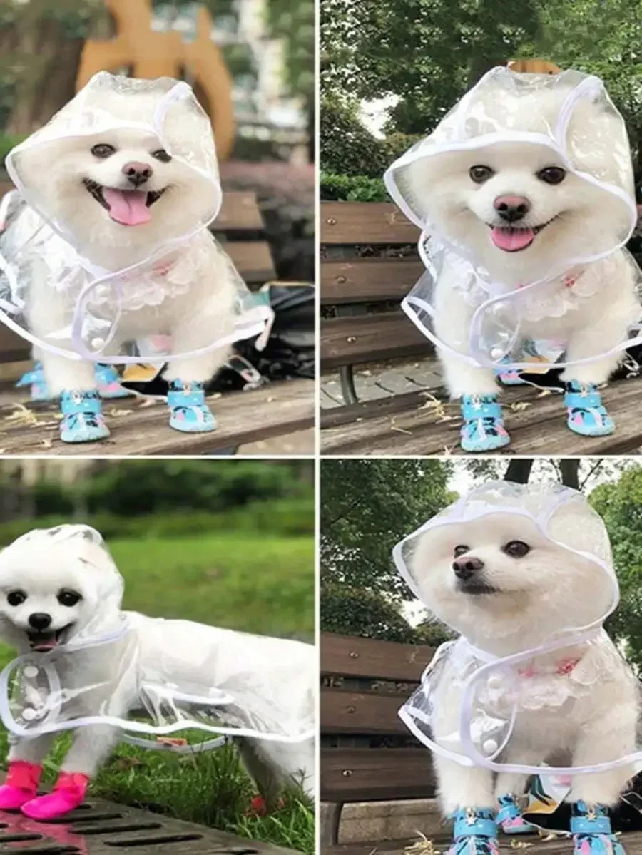 Transparent Hooded Dog Raincoat – image 3