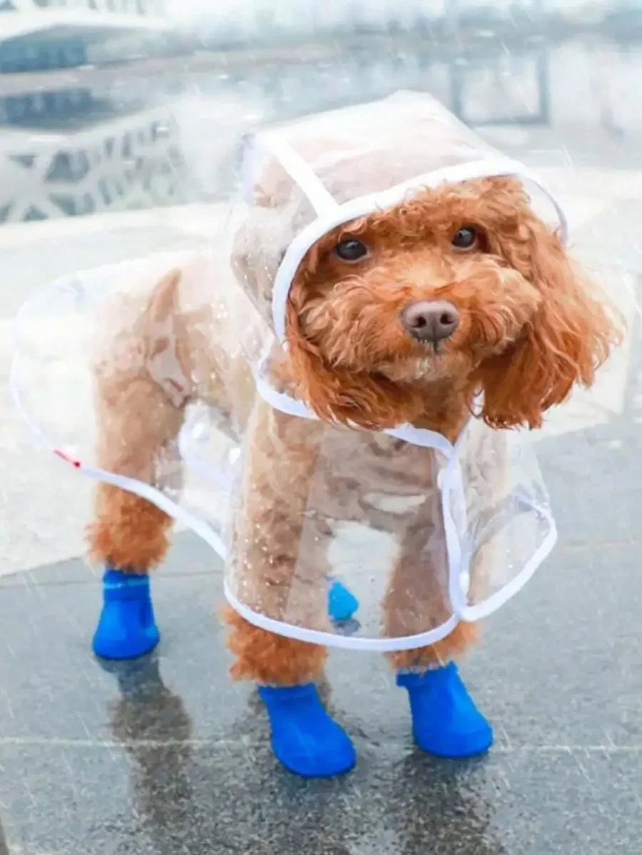 Transparent Hooded Dog Raincoat – image 1